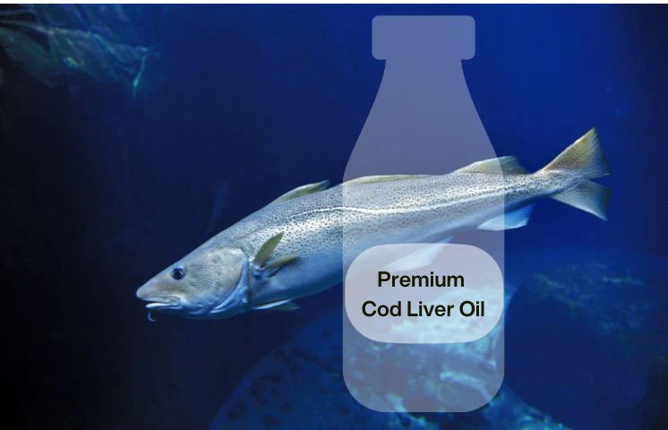 Fedezze fel a Liquid Omega 3-at - a legkiválóbb minőség prémium tőkehalmájolajból és bio citrus illóolajból