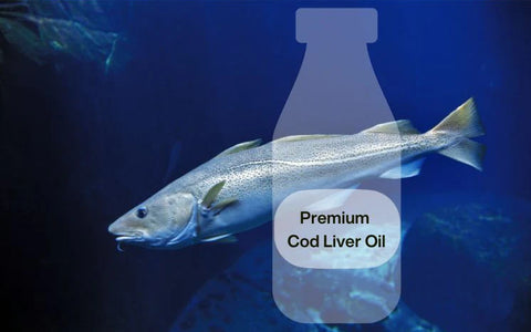 Fedezze fel a Liquid Omega 3-at - a legkiválóbb minőség prémium tőkehalmájolajból és bio citrus illóolajból