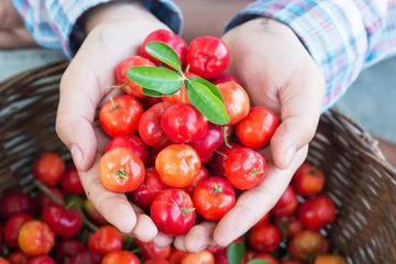 Acerola - több, mint C-vitamin