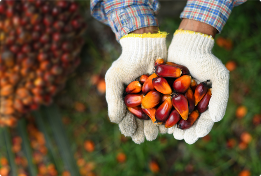 The Real Power of Antioxidants: Why Combine Astaxanthin with Vitamin E?
