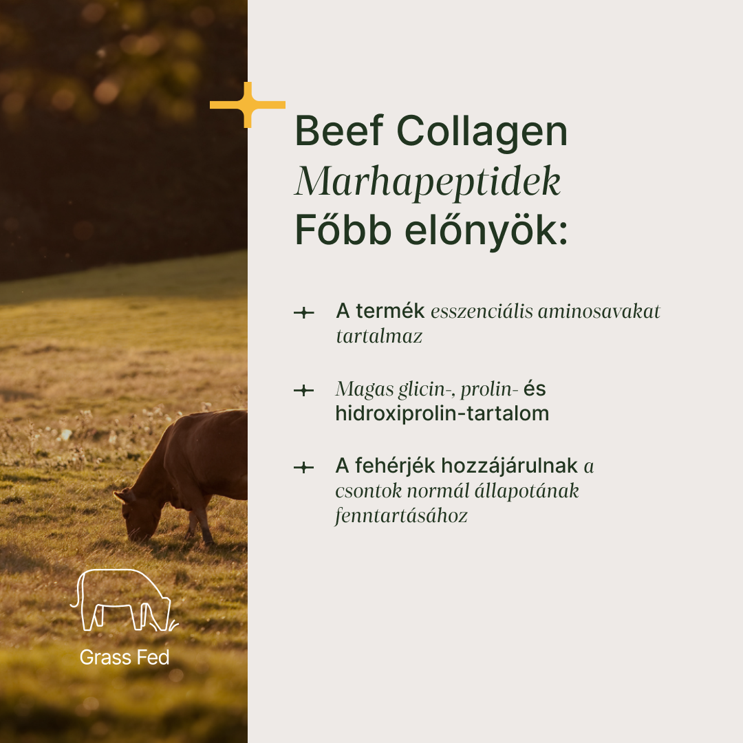 Hidrolizált Marhakollagén
