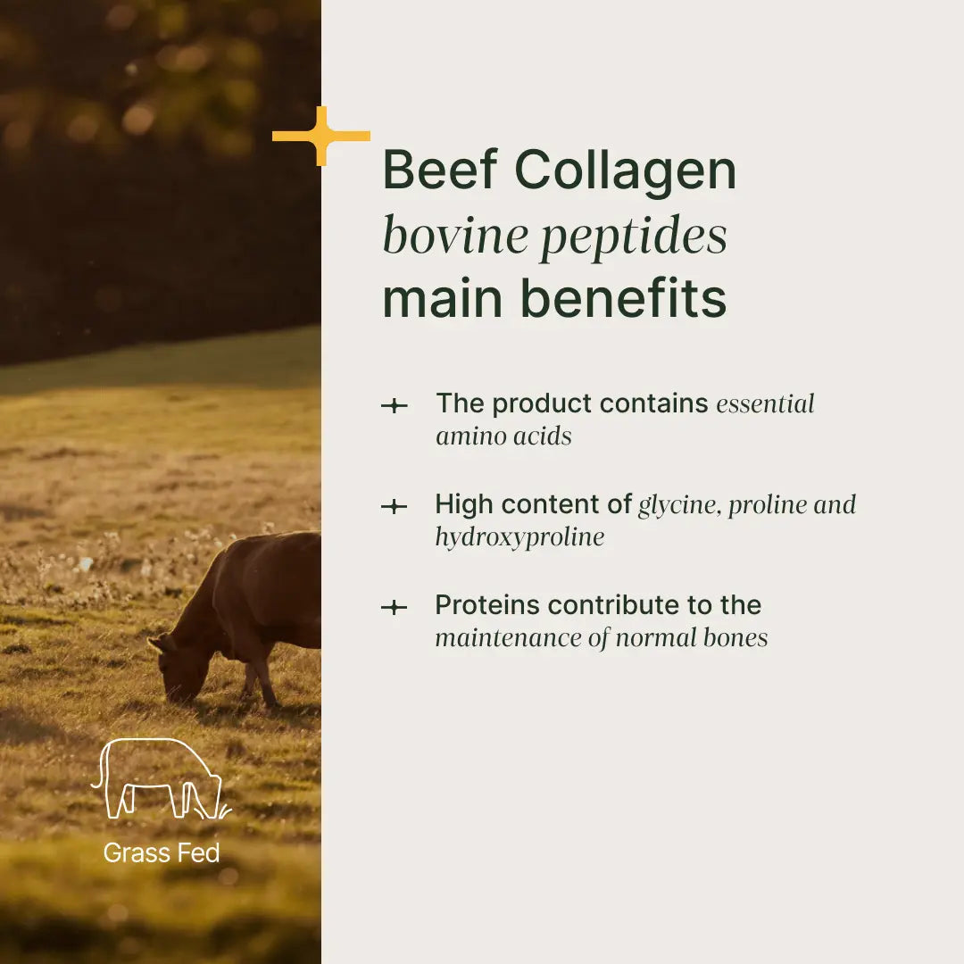 Hydrolyzed Beef Collagen