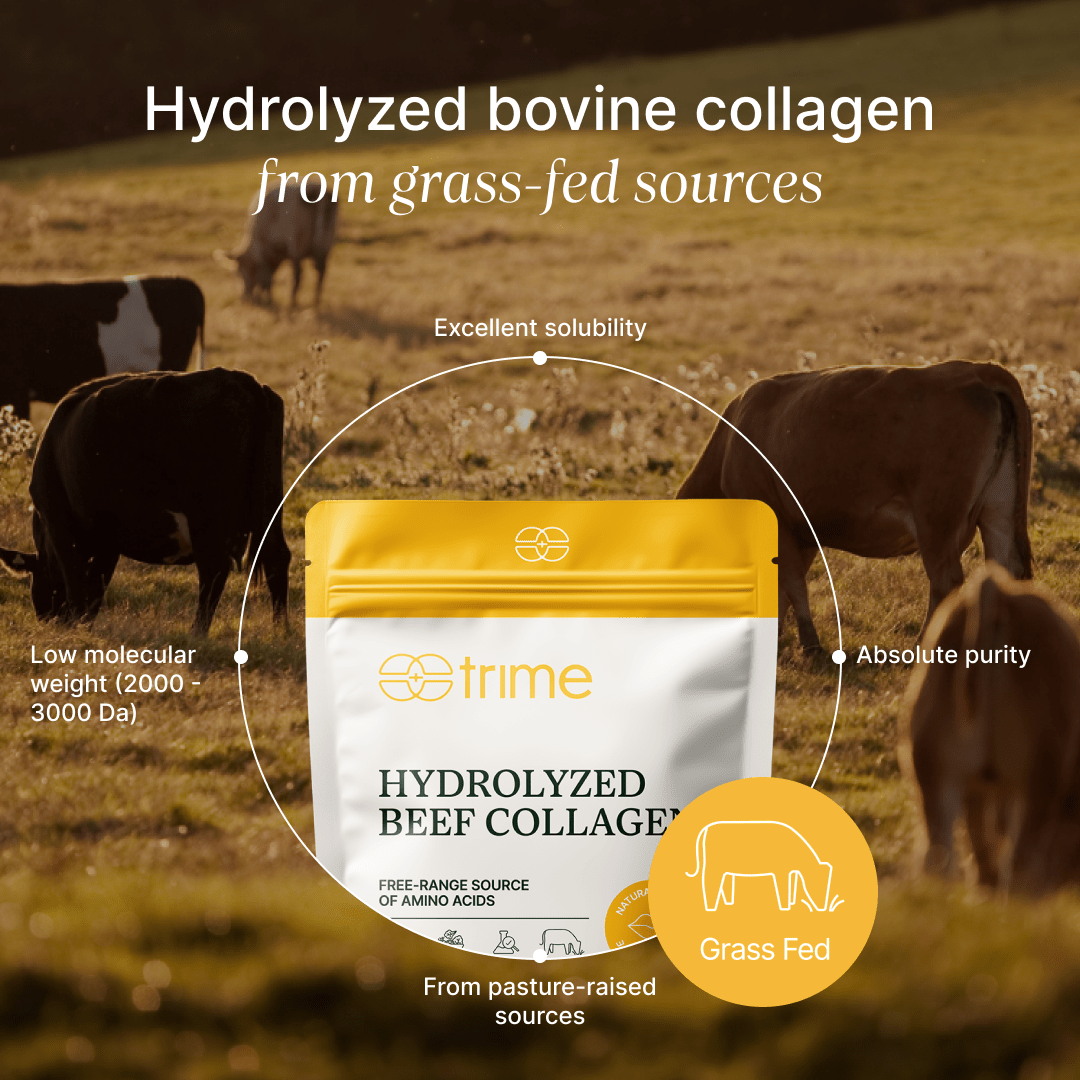 Hydrolyzed Beef Collagen